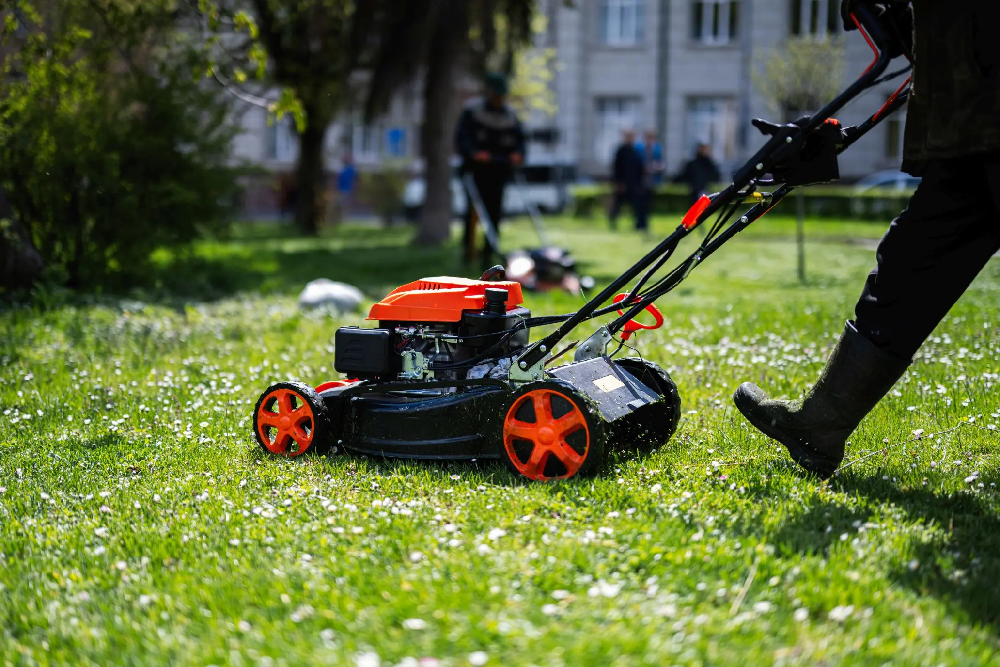 Kosiarka czy kosa spalinowa - co lepiej wybrać?